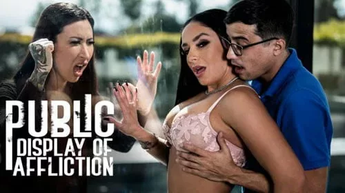 Sheena Ryder in Public Display Of Affliction jpeg